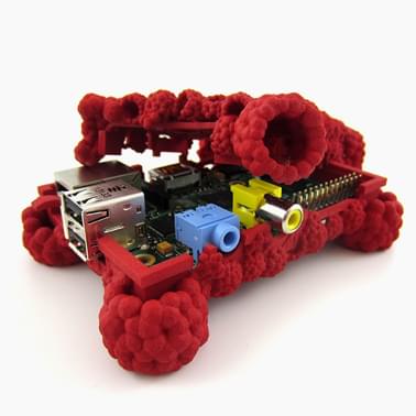 Raspberries for Everyone by Cody Reisdorf